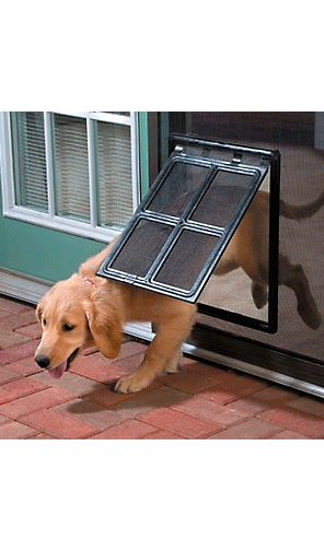 Big Pet Screen Door