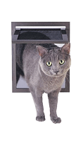 Pet Screen Cat
